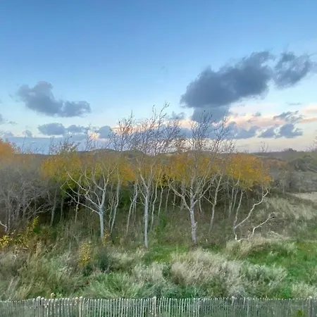 Cosy For 4 People With Access To The Dunes Holiday home Merlimont